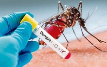 Thời tiết giao mùa dễ bùng dịch sốt xuất huyết, hãy dắt túi ngay 6 bài thuốc điều trị cực hiệu quả phòng khi dùng đến