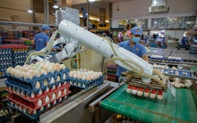 16 hiệp hội, hội ngành nghề chủ lực gửi đơn kiến nghị tập thể lên Thủ tướng