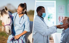 Nghi ngờ hiệu quả của vắc xin, người Mỹ đổ xô mua thuốc tẩy giun ngựa để chữa Covid-19, đây chính là lý do