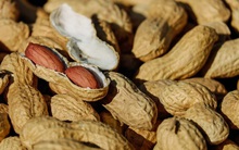 3 loại rau củ giúp làm giảm huyết áp cực tốt, thích hợp cho người trẻ bị huyết áp cao, tăng huyết áp đột ngột