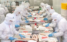 Khoảng 95% doanh nghiệp ở Cần Thơ buộc phải tạm ngưng hoạt động