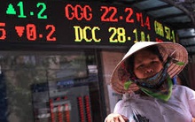 Việt Nam trả nợ công gần 267 nghìn tỷ đồng trong 8 tháng đầu năm