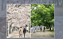 Những hình ảnh chứng minh Hàn Quốc là một "tiểu hành tinh kỳ lạ", nếu không đi thì sẽ là hối hận lớn trong đời