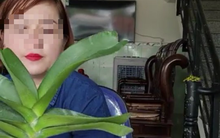 Bình Định: Một giáo viên livestream mua bán lan 26,5 tỉ đồng chưa đăng ký thuế