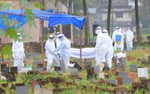 Từng có tỷ lệ tử vong lên tới hơn 90%, virus Nipah trở lại, khơi dậy ký ức kinh hoàng ở Ấn Độ