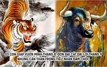 Đi qua tháng 7 âm lịch, đây là 3 con giáp sẽ vươn mình tháng 8, đón đại cát đại lợi tháng 9 nhưng cần thận trọng với tiểu nhân