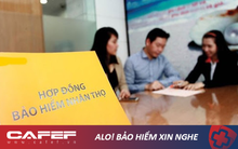 Thị phần của các "ông lớn" bảo hiểm Bảo Việt, Manulife, Prudential, Dai-ichi, AIA: ai lớn nhất?