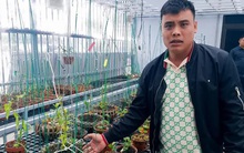 Tiết lộ bất ngờ từ cơ quan thuế về công ty của "đại gia" lan đột biến vừa bị bắt