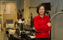Việt Nam có 1 nữ giáo sư: Từng bị cười nhạo vì nói Tiếng Anh kém và cú lột xác trở thành nhà khoa học quyền lực top thế giới