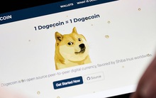 Thị trường tiền số 'tắm máu' nhưng đồng coin meme này lại bật tăng 99%