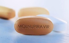 Bộ Y tế thông tin về các cảnh báo, thận trọng khi dùng thuốc điều trị COVID-19 Molnupiravir