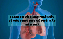 Ăn thường xuyên 2 loại củ, 2 loại trái cây, phổi sẽ như được mặc 'giáp sắt': Tạo 'màn chắn' xoa dịu tổn thương, bảo vệ đường hô hấp
