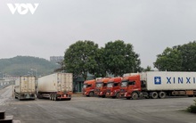 Thanh long nối lại xuất khẩu qua Lào Cai sau gần 5 tháng tạm dừng