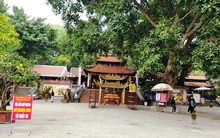 Bắc Ninh tạm dừng lễ hội, tăng cường test COVID-19 dịp Tết