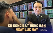 Cổ phiếu bất động sản nằm sàn la liệt sau khi Tân Hoàng Minh bỏ cọc, cổ đông "tụt huyết áp, tìm mua máy trợ thở"