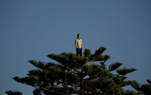 Cảm xúc đối nghịch của dân văn phòng "ôm cổ" nhóm FLC: Người sung sướng vì được trả tiền; kẻ khóc ròng vì kẹp hàng "đúng đỉnh"