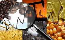 Thị trường ngày 13/1: Giá dầu, vàng, sắt thép đều tăng, nickel và cà phê cao kỷ lục