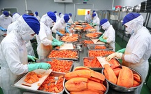 Ùn tắc nông sản biên giới: Doanh nghiệp chế biến “lo ngại” vấn đề nguyên liệu