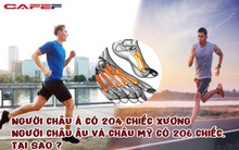 Tại sao người châu Á chỉ có 204 chiếc xương trong khi người Châu Âu và Châu Mỹ có đến 206 chiếc? Hóa ra 2 mảnh ghép còn lại đã biến mất vì lý do này