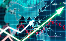 Agribank tiếp tục đưa gần 3 triệu cổ phần Công nghệ CMC (CMG) ra bán