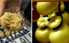 Lộ diện 10 món ăn đắt giá nhất hành tinh, ngay từ cái tên đầu tiên đã có giá lên đến 330.000 USD khiến dân mạng sửng sốt