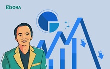 Hành trình lao dốc không phanh của cổ phiếu FLC