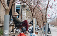 Ảnh: Đào Nhật Tân xuống phố, nông dân thấp thỏm vừa "ngóng" thời tiết vừa "mong" khách