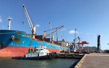 Đội tàu của Tổng Công ty Hàng hải lãi 'nghìn tỷ' sau nhiều năm lỗ