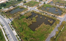 TPHCM xử lý lô đất vàng ở Thủ Thiêm thế nào sau khi Tân Hoàng Minh bỏ cọc?