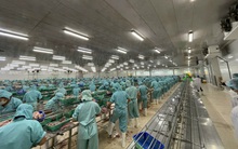 IDI ước lãi 80 tỷ đồng lợi nhuận sau thuế trong quý 4/2021