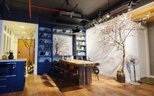 Theo chân mẹ Hà Nội đi vườn hoa Nhật Tân và học được cách chọn đào "siêu" hay ho