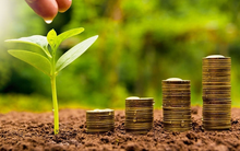 Thủy điện Đa Nhim Hàm Thuận Đa Mi (DNH) chốt danh sách cổ đông dự chi hơn 591 tỷ đồng trả cổ tức năm 2021