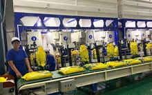 Nông nghiệp Công nghệ cao Trung An (TAR): Năm 2022 lên kế hoạch lãi 600 tỷ đồng cao gấp 6 lần 2021