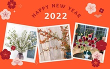 Gợi ý cho bạn 8 loại hoa chơi Tết vừa bền vừa đẹp, khách đến nhà chơi ai cũng khen