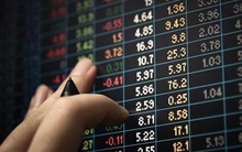 Những ngành "dẫn đường" năm 2022: Nhà đầu tư xuống tiền cần xem xét chỉ số giá bởi giá cổ phiếu thời tiền rẻ đã chạy trước khá xa yếu tố cơ bản