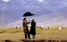 Vì sao ngày càng nhiều người quyết định không kết hôn, hoặc kết hôn cũng không sinh con?