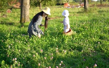 9X bỏ phố về quê: Ở Đức không đầu cơ, phân lô bán nền như ở Việt Nam