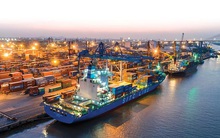 Cảng Đình Vũ (DVP) ghi nhận 339 tỷ đồng lãi trước thuế, vượt 11% chỉ tiêu lợi nhuận cả năm