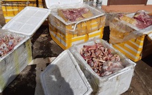 CLIP: "Ớn lạnh" khi nhìn hàng tạ thịt heo và xương tủy dê