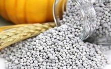 Đừng kỳ vọng giá phân bón sẽ về lại mức trước Covid