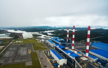 Không còn khoản doanh thu chênh lệch tỷ giá hàng nghìn tỷ, Nhiệt điện Quảng Ninh báo lãi năm 2021 đạt 477 tỷ đồng, vượt 50% kế hoạch