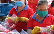 Bình Thuận xuất khẩu thanh long bằng đường biển