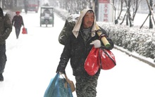 Dân mạng phẫn nộ, xót xa và phản ứng đáng kinh ngạc của ông bố mắc Covid-19 khi làm việc điên cuồng để có tiền tìm con