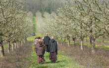 Làng Mai gắn liền với Thiền sư Thích Nhất Hạnh nằm ở đâu và có ý nghĩa thế nào trong cuộc đời vị sư thầy được nhiều người khắp thế giới kính trọng?