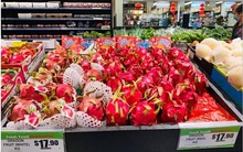 Thanh long Việt xuất khẩu sang Úc giá 200.000 đồng/kg