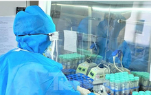 Bình Dương ghi nhận ca mắc biến thể Omicron đầu tiên nhưng không triệu chứng