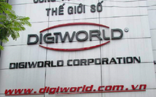 Cổ phiếu DGW liên tiếp giảm sàn khi Xiaomi có thêm nhà phân phối chính hãng thứ 2 tại Việt Nam