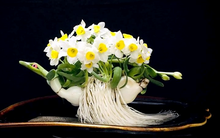 Hoa thủy tiên - loại hoa chơi Tết kỳ công của người Hà Nội xưa