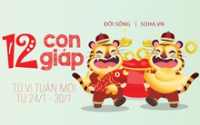 Tử vi tuần mới từ 24/1 - 30/1: 4 con giáp lắm tài nhiều lộc, 2 con giáp cẩn thận tiền nong