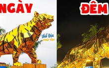 Tìm ra linh vật hổ xuất sắc nhất trước thềm năm mới: Mình óng ánh như dát vàng, dáng dũng mãnh đúng chuẩn "chúa sơn lâm"